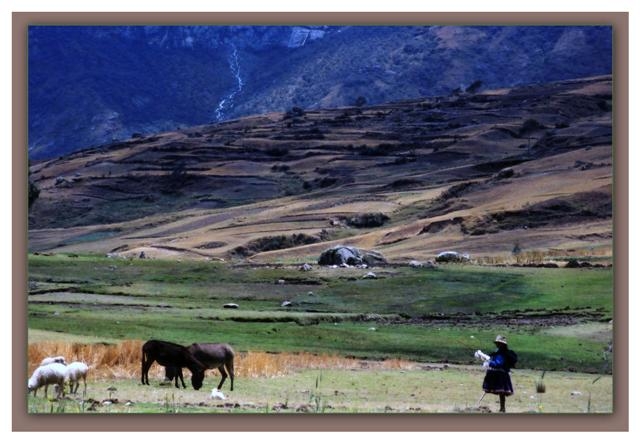 peru 28 (Small).jpg